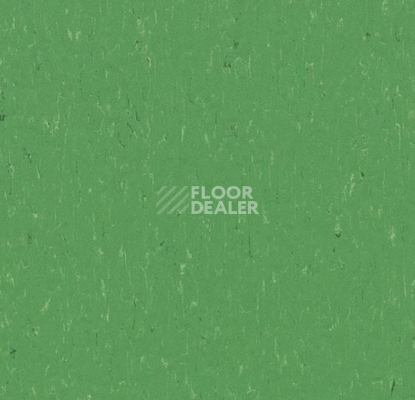 Линолеум Forbo Marmoleum Solid Piano 3647-364735 nettle green фото 1 | FLOORDEALER